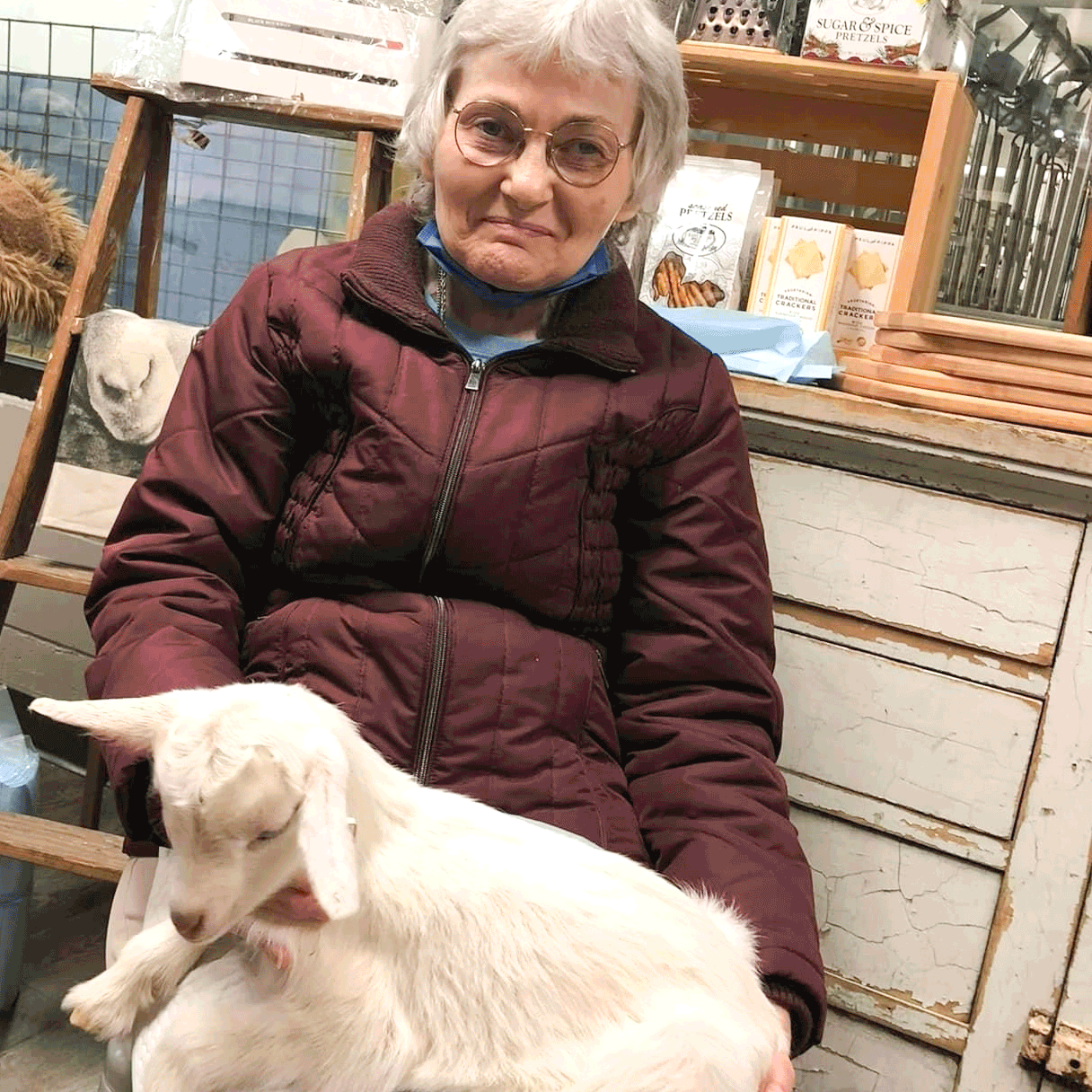 Goats being held by seniors slider